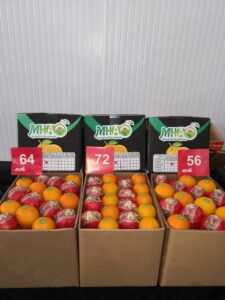 WhatsApp Image 2025-08-12 at 8.03.28 PM