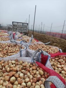 WhatsApp Image 2025-08-12 at 8.03.55 PM (1)