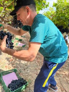 WhatsApp Image 2025-08-12 at 8.03.55 PM