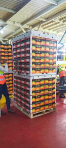 WhatsApp Image 2025-08-12 at 8.04.07 PM