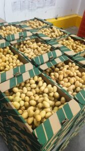 WhatsApp Image 2025-08-12 at 8.04.12 PM