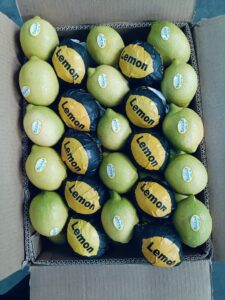 WhatsApp Image 2025-08-12 at 8.04.14 PM (1)