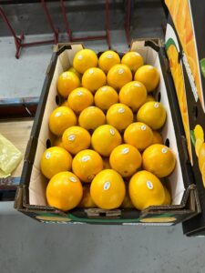 WhatsApp Image 2025-08-12 at 8.04.18 PM