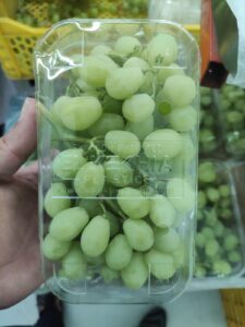 WhatsApp Image 2025-08-12 at 8.04.29 PM (1)