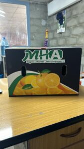 WhatsApp Image 2025-08-12 at 8.04.29 PM (2)