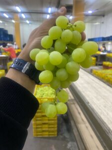 WhatsApp Image 2025-08-12 at 8.04.29 PM