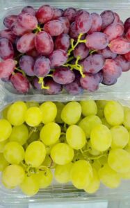 WhatsApp Image 2025-08-12 at 8.04.30 PM