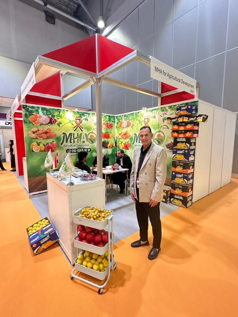 WhatsApp Image 2025-08-18 at 11.03.31 PM