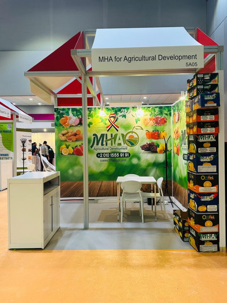 WhatsApp Image 2025-08-18 at 11.08.41 PM (1)