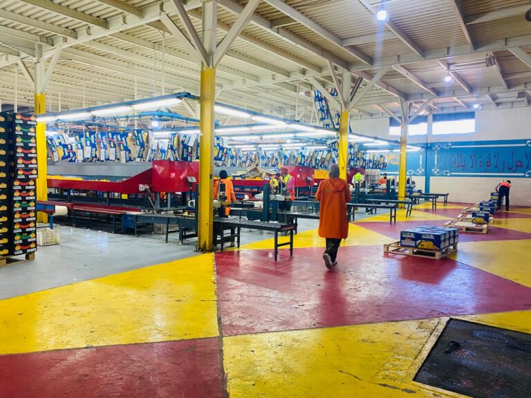 WhatsApp Image 2025-08-18 at 11.14.35 PM (1)