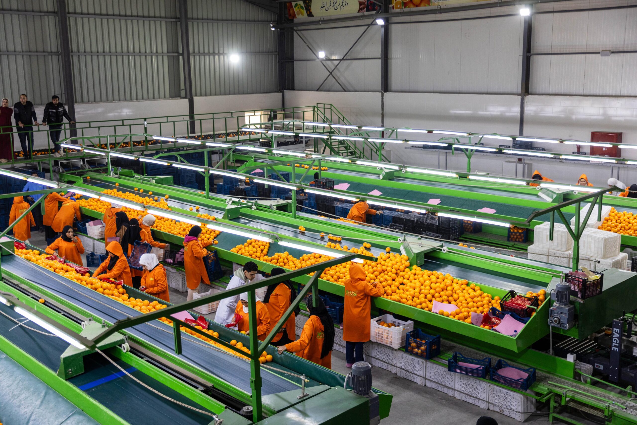 WhatsApp Image 2026-01-21 at 9.15.26 AM