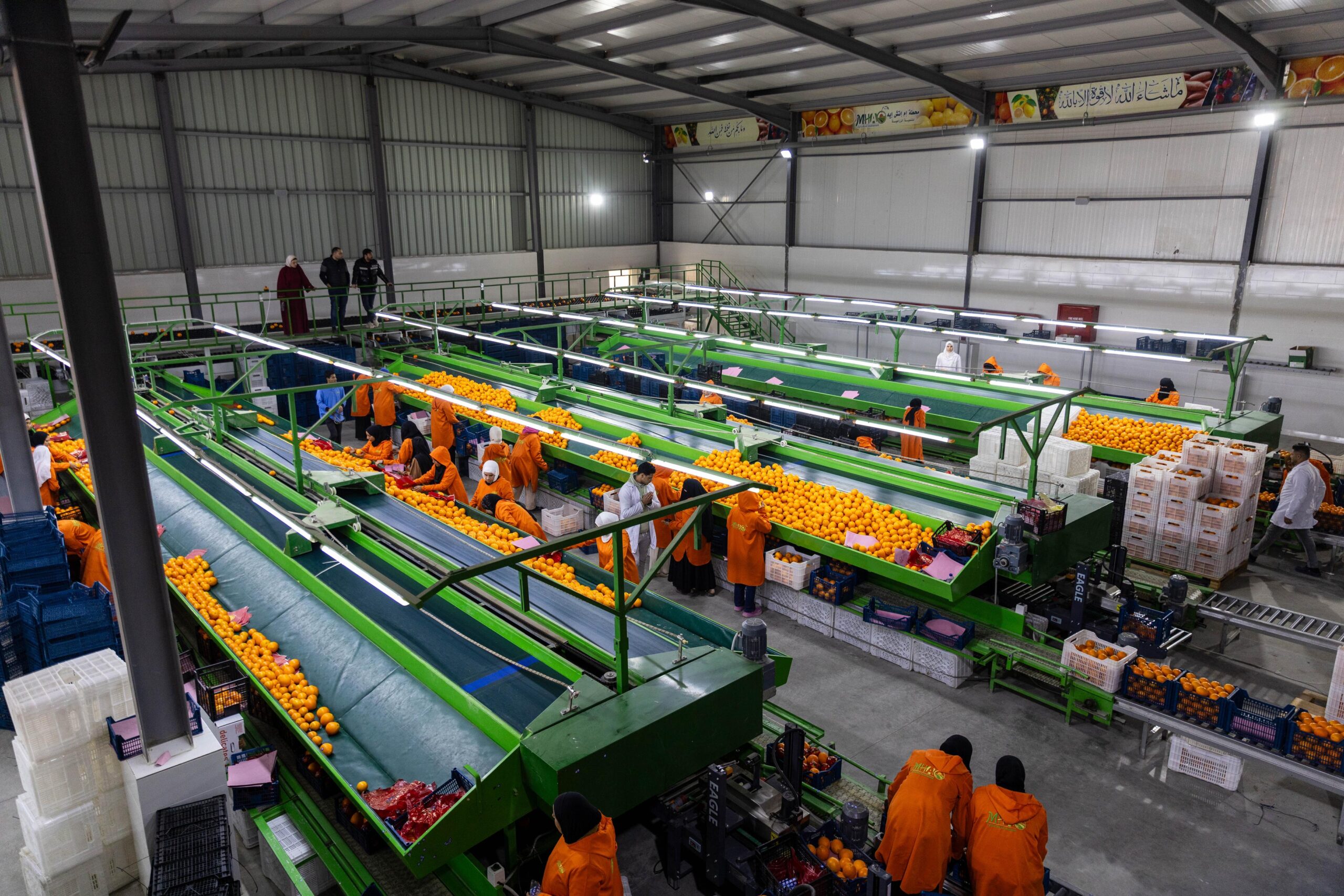 WhatsApp Image 2026-01-21 at 9.15.27 AM (1)