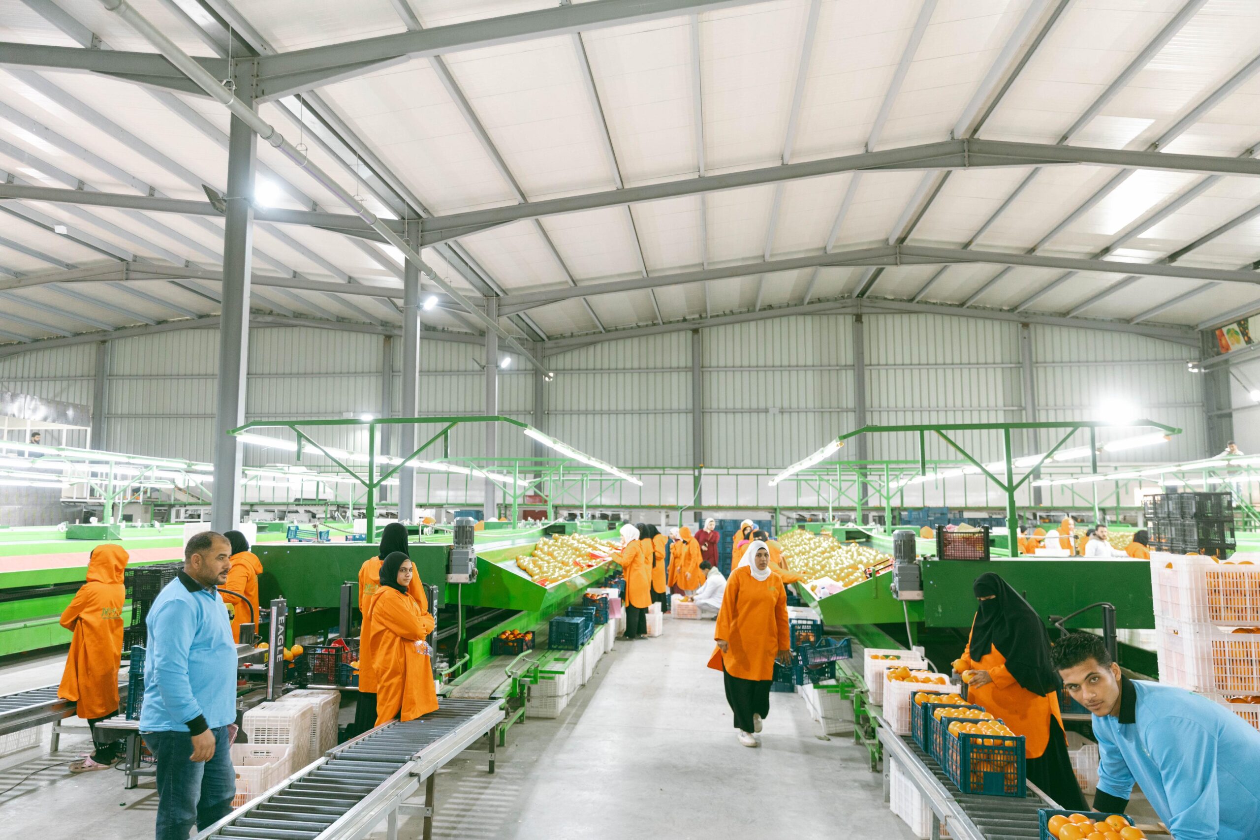 WhatsApp Image 2026-01-21 at 9.15.27 AM