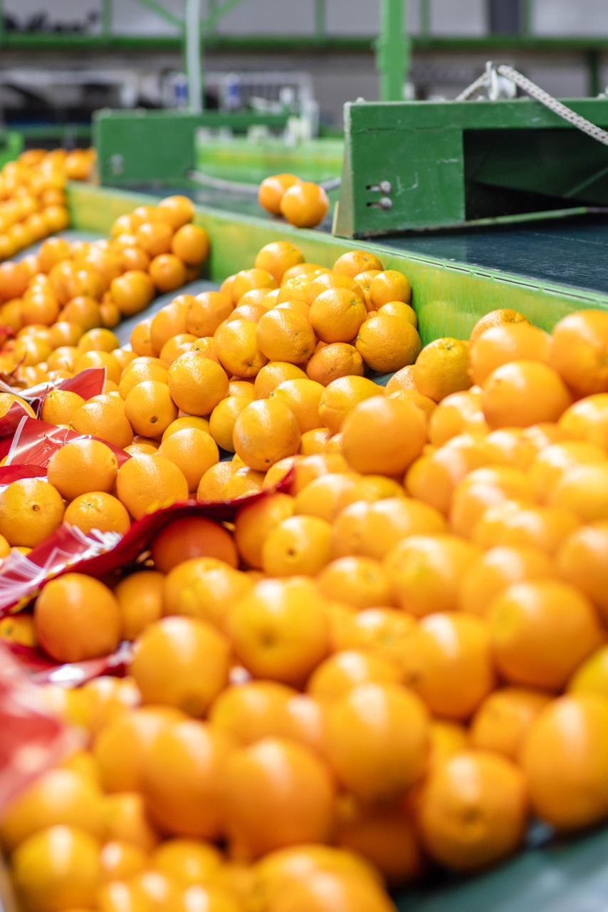 WhatsApp Image 2026-01-21 at 9.15.28 AM (1)