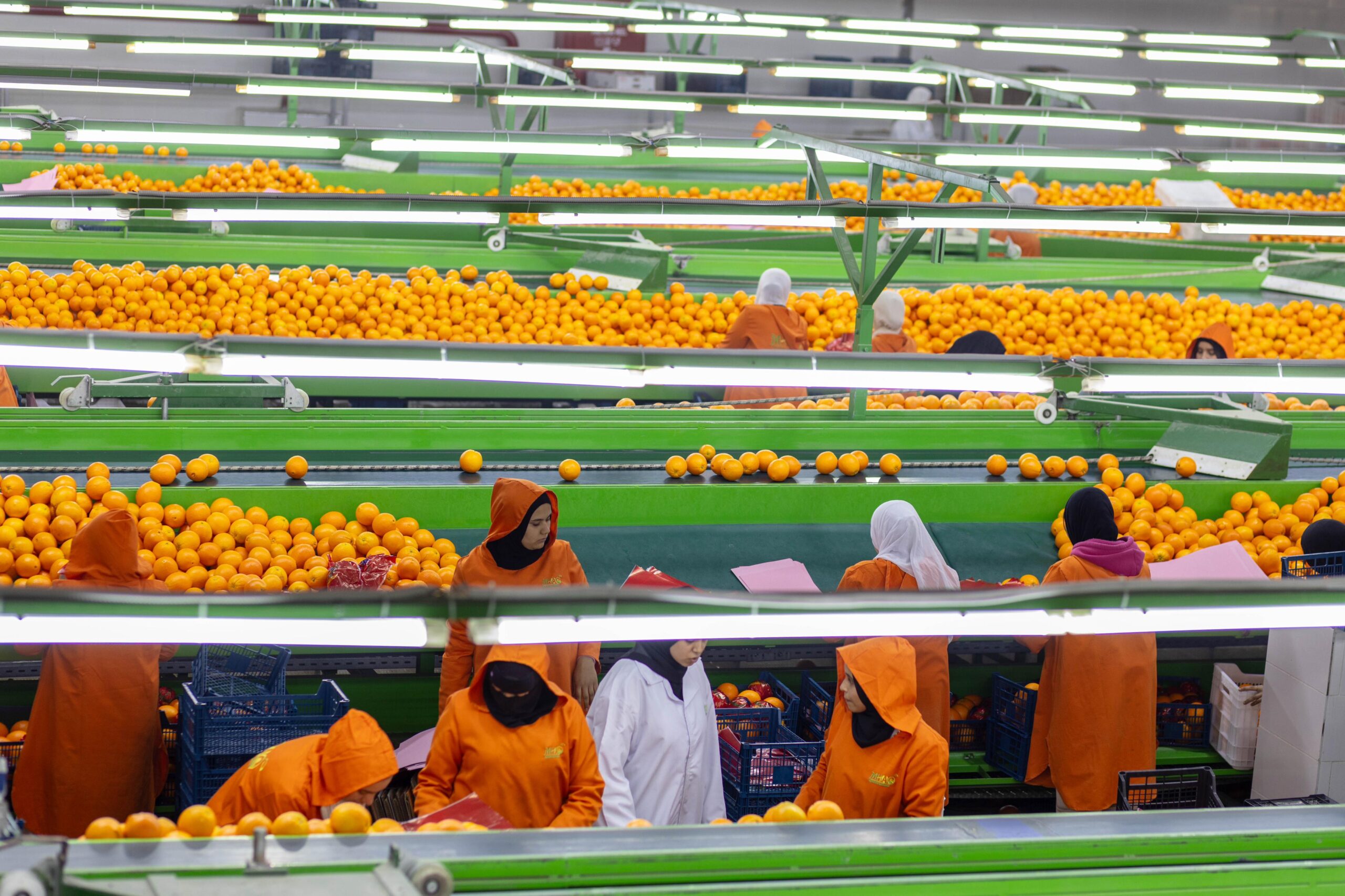 WhatsApp Image 2026-01-21 at 9.15.28 AM (2)