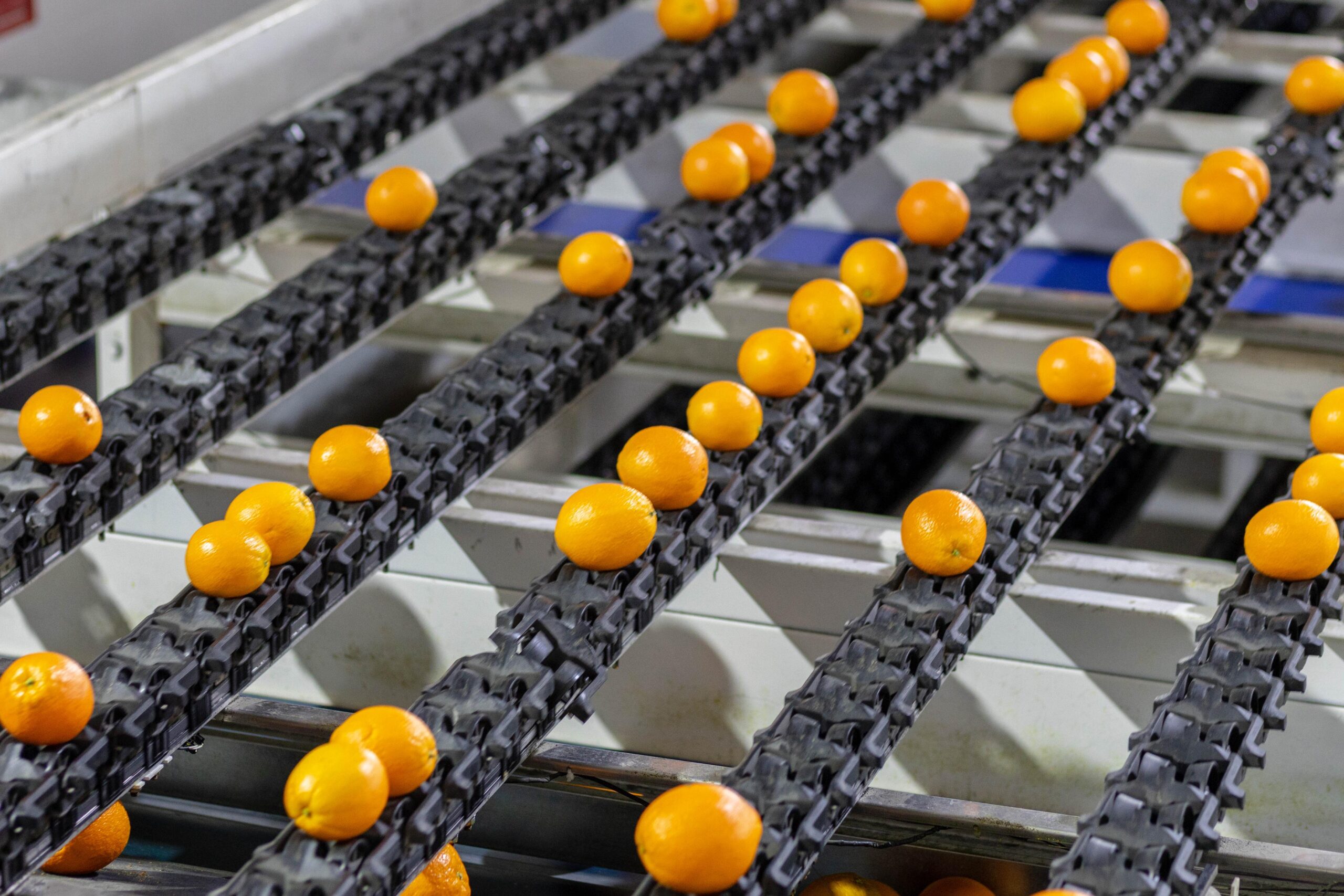 WhatsApp Image 2026-01-21 at 9.15.28 AM