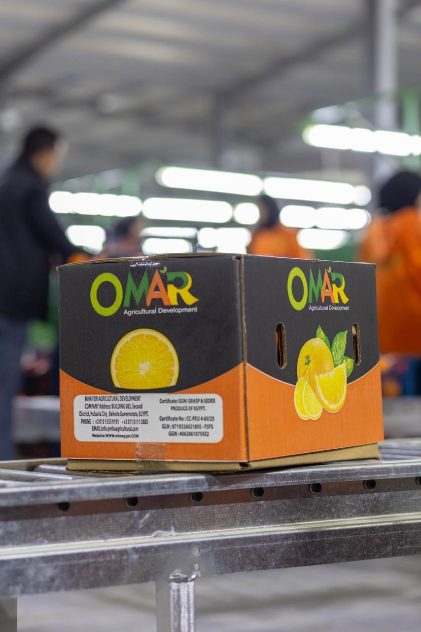 WhatsApp Image 2026-01-21 at 9.15.29 AM